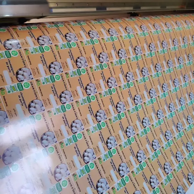 Grande feuille d’étiquettes orange et vertes imprimées en série